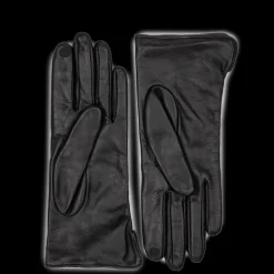 Gants